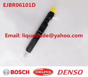 CHINA DELPHI Genuine y nuevo inyector común EJBR06101D del carril para YUCHAI 2,5 4F FB3001112100011 proveedor