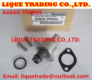 CHINA Equipos de la revisión 294200-0360 294009-0250 para MITSUBISHI 1460A037, NISSAN A6860-VM09A proveedor