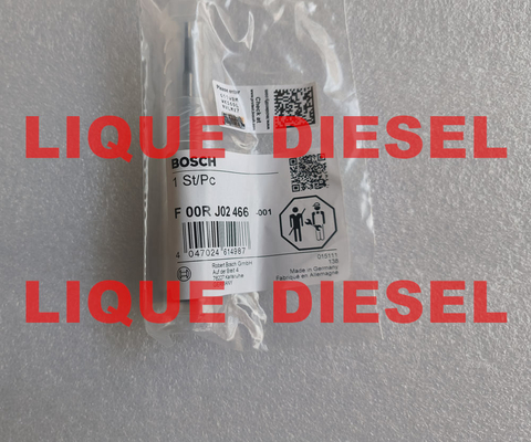 CHINA BOSCH Válvula de inyector common rail F00RJ02466 F 00R J02 466 proveedor