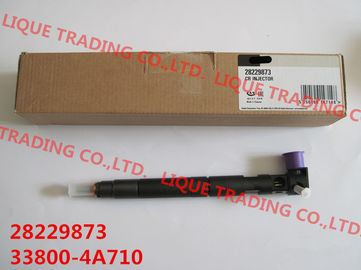 CHINA DELPHI inyector común auténtico y nuevo de 33800-4A710 del carril 28229873/33800-4A710/338004A710 para HYUNDA KIA proveedor