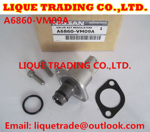 CHINA Equipos de la revisión 294200-0360 294009-0250 para MITSUBISHI 1460A037, NISSAN A6860-VM09A proveedor