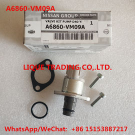 CHINA Los equipos A6860-VM09A de la revisión de DENSO, incluyen la válvula 294200-0360 NISSAN A6860VM09A proveedor