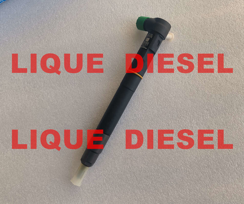 CHINA DELPHI fuel injector 28384645 A6720170021 6720170021 for SSANGYONG D22 EURO 6 proveedor
