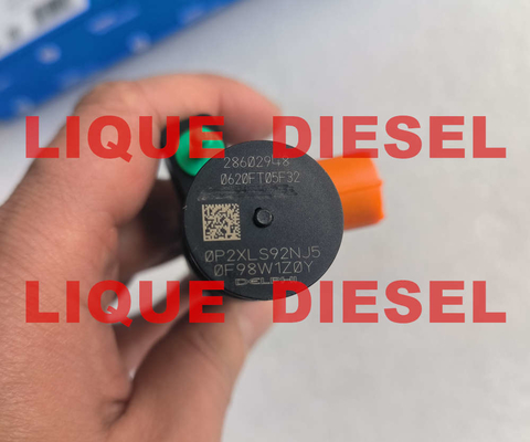 CHINA DELPHI Common Rail Injector 28602948 9674984080 28388960 28319895 D57Q-9F-893-BB D57Q9F893BB proveedor
