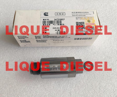 CHINA Válvula Limitadora Common Rail 5473196 4954245 4383889 4307195 proveedor