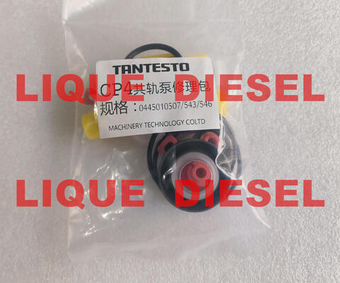 CHINA Kits de reparación de bomba CP4 Kits de reacondicionamiento de bomba CP4 para bomba 0445010507 0445010543 0445010546 proveedor