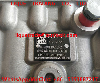 CHINA Surtidor de gasolina de Cummins 5313188, BOMBA 5313188 de BYC proveedor