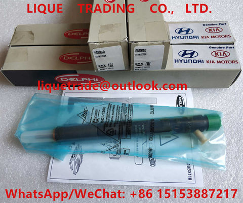 CHINA DELPHI Fuel Injector EJBR03001D/R03001D/33800-4X900/33801-4X900, 338004X900/338014X900 proveedor