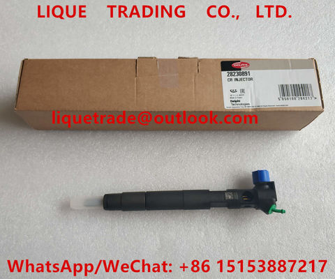 CHINA DELPHI Common Rail Injector 28230891, inyector de combustible A6510701387 6510701387 proveedor