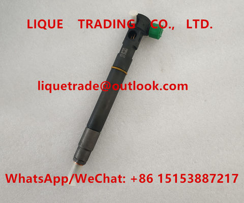 CHINA DELPHI Common Raill Injector 28384645 para el EURO de SSANGYONG D22 6 A6720170021, 6720170021 proveedor