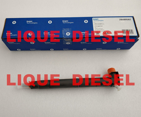 CHINA Inyector de combustible de DELPHI 28489562, 25195088, 28264952, 25183185 proveedor