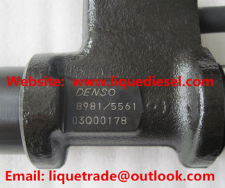 Inyector de combustible común del carril de DENSO 095000-8981 para ISUZU 6WG1 8981675561, 8-98167556-1 proveedor