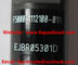 Inyector común original EJBR05301D del carril de EJBR05301D para YUCHAI F50001112100011 proveedor