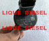 Regulador de presión del surtidor de gasolina de BOSCH, DRV 0281002500 para FIAT 9949317, IVECO 504016314, 42538165,  5001857386 proveedor