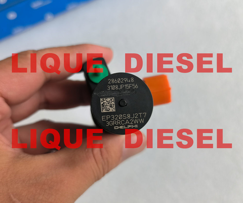 DELPHI Common Rail Injector 28602948 9674984080 28388960 28319895 proveedor