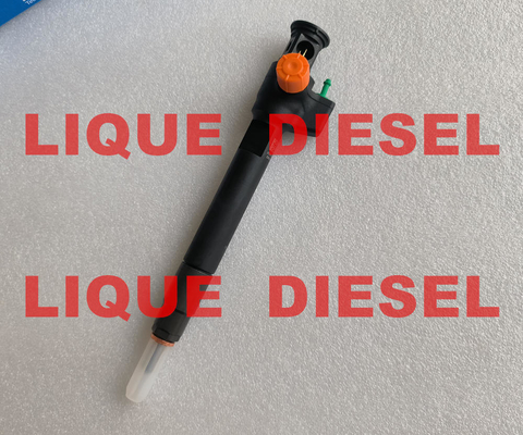 DELPHI Common Rail Injector 28602948 9674984080 28388960 28319895 proveedor