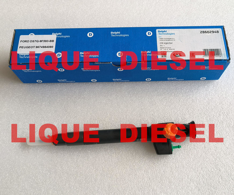 DELPHI Common Rail Injector 28602948 9674984080 28388960 28319895 proveedor