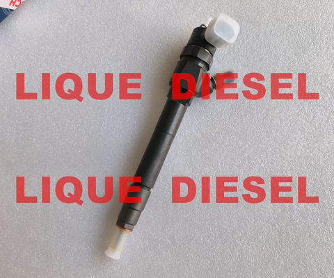 Inyector de combustible de riel común BOSCH 0445110424 0 445 110 424 0445 110 424 proveedor