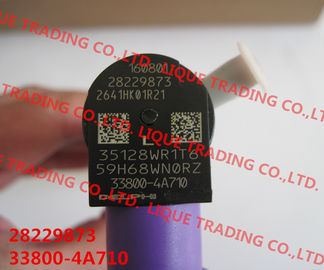 Inyector de DELPHI Original 28229873/33800-4A710/338004A710 para HYUNDA KIA proveedor