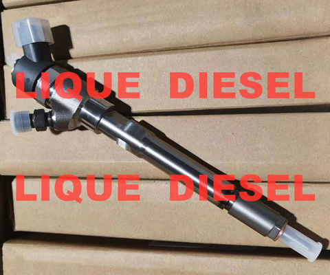 BOSCH Inyector de tren común 0445110388 0445110387 Para el HUATAI RA415 RA420 RA425 RA428 proveedor