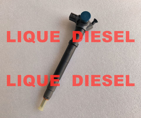 DENSO inyector de combustible 295700-0140 33800-4A900 2957000140 338004A900 para el HYUNDAI / KIA proveedor