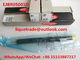 DELPHI Common Rail Injector EJBR05001D, R05001D, 320/06623 proveedor