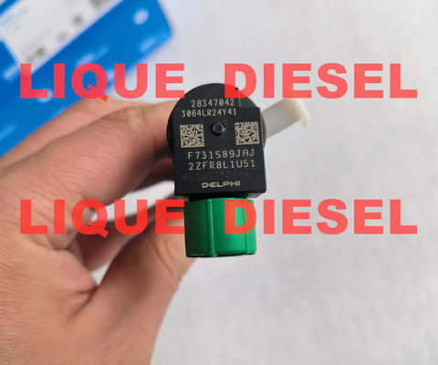 INJETOR DELPHI 28347042 para DOOSAN 400903-00043E 40090300043E proveedor
