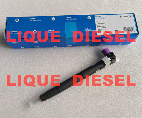 33800-4A710 28229873 DELPHI inyector de combustible del tren común 33800-4A710 28229873 para el KIA HYUNDA 33800 4A710 338004A710 proveedor