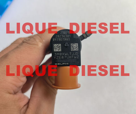 Inyector DELPHI Common rail 28236381 33800-4A700 338004A700 para HYUNDAI Starex 33800 4A700 proveedor
