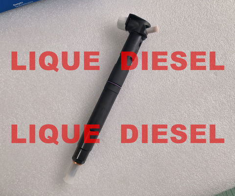 Inyector de riel común DELPHI 28581266 33800-2A150 338002A150 33800 2A150 proveedor