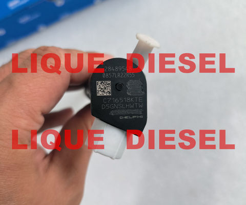 Inyector de riel común DELPHI 28581266 33800-2A150 338002A150 33800 2A150 proveedor