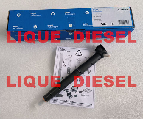 Inyector de riel común DELPHI 28581266 33800-2A150 338002A150 33800 2A150 proveedor