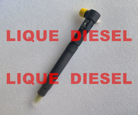 DELPHI EMBR00301D Inyector common rail R00301D 6710170121 A6710170121 para SSANGYONG Korando proveedor