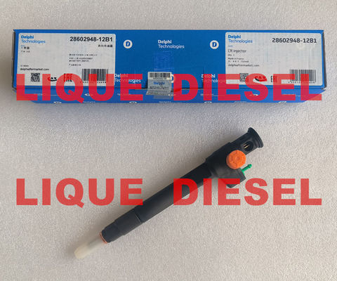 DELPHI Inyector del tren común 28602948 9674984080 28388960 28319895 inyector de combustible proveedor