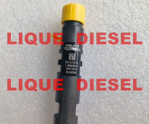 DELPHI Common Rail Injector EJBR05001D R05001D 320/06623 320-06623 32006623 proveedor