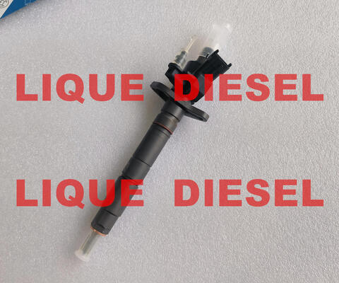 Inyector Common Rail 0445116061 0445117052 0 445 116 061 0 445 117 052 445116061 445117052 proveedor