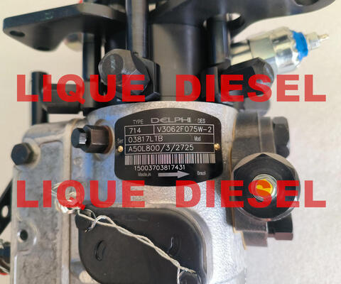 La bomba de combustible 3062F075 3062F074 3062F073 proveedor