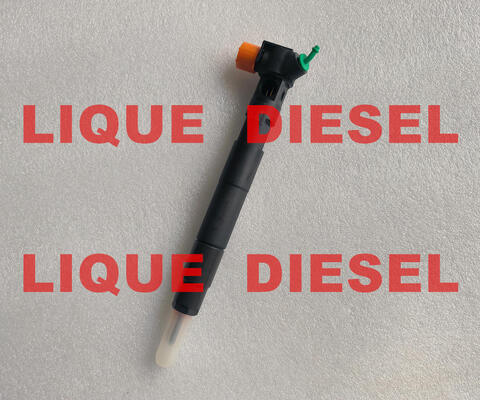 Inyector de tren común 28272472 A6510702387 6510702387 proveedor