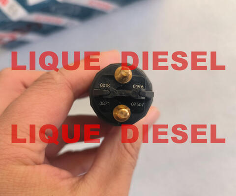 Inyector del tren común 0445120196 0 445 120 196 445120196 0445 120 196 proveedor