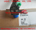 DELPHI Common Rail Injector 28230891, inyector de combustible A6510701387 6510701387 proveedor
