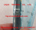 DELPHI Common Rail Injector EJBR05001D, R05001D, 320/06623, 320-06623 proveedor