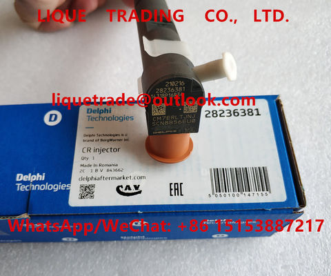 Inyector 28236381, 33800-4A700, 338004A700, 33800 4A700 de DELPHI Fuel para HYUNDAI KIA proveedor