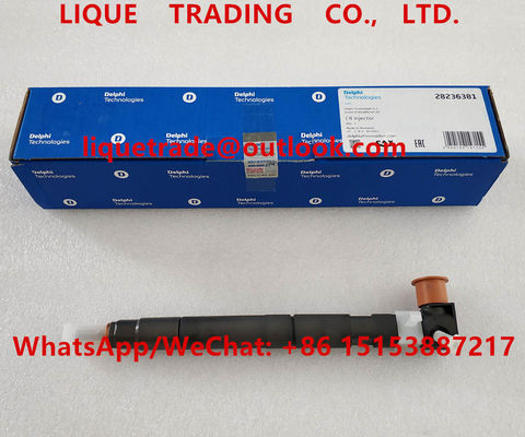 Inyector 28236381, 33800-4A700, 338004A700, 33800 4A700 de DELPHI Fuel para HYUNDAI KIA proveedor