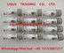 DELPHI Common Rail Injector Nozzle L229PBC, L229, BOCA 229, 229PBC proveedor