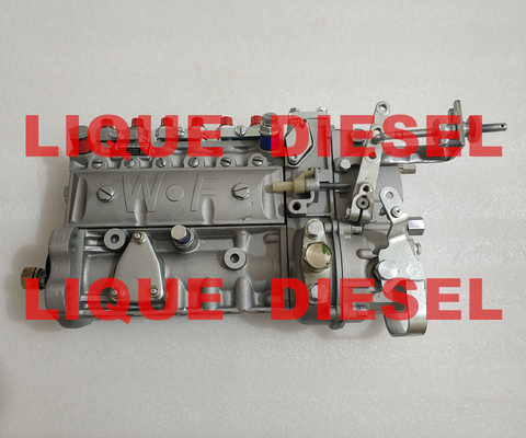 Montaje de alta presión 3976801 6A125A WEIFU de la bomba de la inyección de carburante proveedor