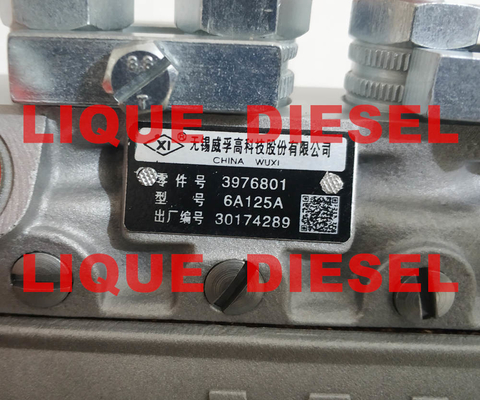 Montaje de alta presión 3976801 6A125A WEIFU de la bomba de la inyección de carburante proveedor
