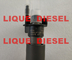 Inyector de combustible diesel de BOSCH 0445115077 0445115050 0986435359 para BMW 13537808094 13537808089 proveedor