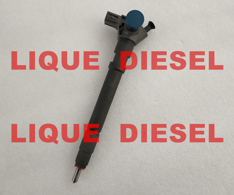 Inyector de DENSO 295700-0290 para el euro de HYUNDAI D4CB VGT 6 33800-4A950 proveedor