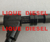 Inyector de combustible de DENSO 095000-6310 DZ100212 RE530362 para JOHN DEERE 0950006310 proveedor