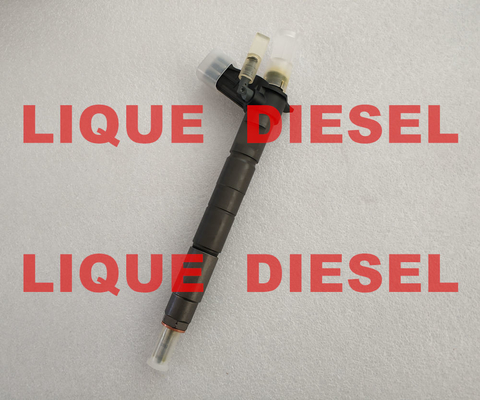 Inyector de combustible de BOSCH 0445116041 35062005F 0 445 116 041 350 620 05F 0445116 041 proveedor